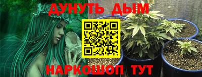 ГАЛЛЮЦИНОГЕННЫЕ ГРИБЫ Краснознаменск