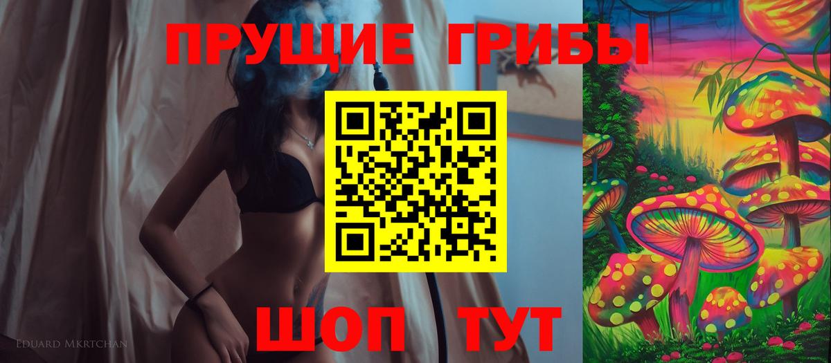 Кингисепп  Псилоцибиновые грибы ЛСД  Вход с VPN 